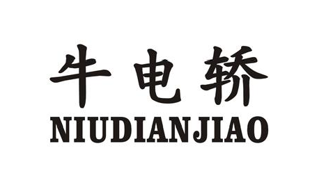 ţI+NIU DIAN JIAO